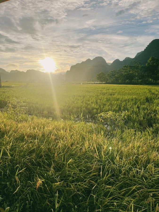 Tam Coc Windy Fields Villa Ninh Binh Buitenkant foto